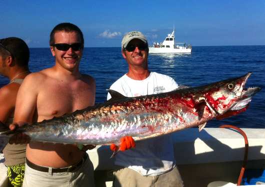 Kingfish