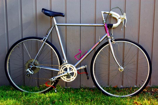 My road bike - an ancient Raleigh Technium.