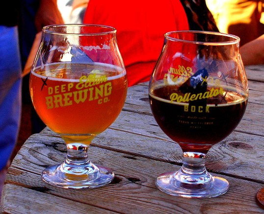 A Pollinator Bock on the right, Dallas Blonde on the left.