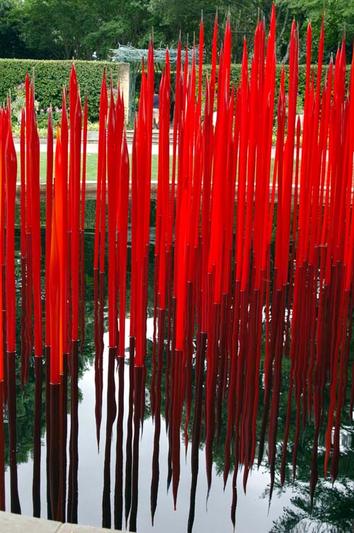 Chihuly, Red Reeds