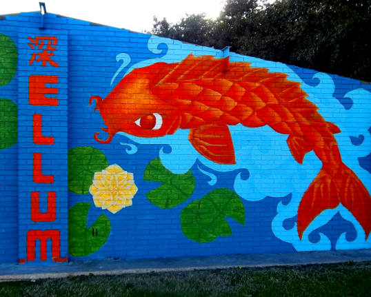 ellum_goldfish1