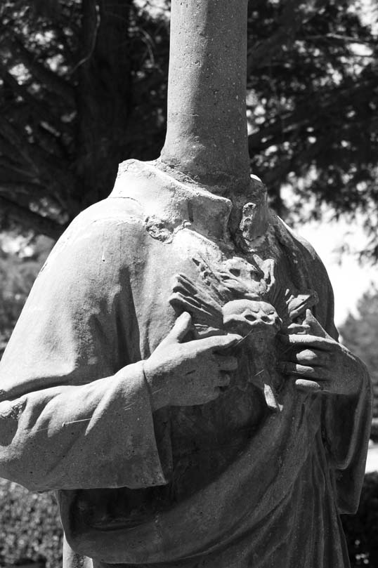 Reincarnation of Farmer Bradley