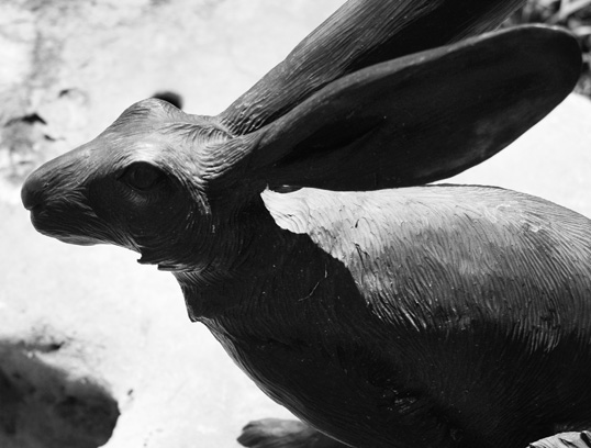 H.O.P. Rabbits, by David Iles