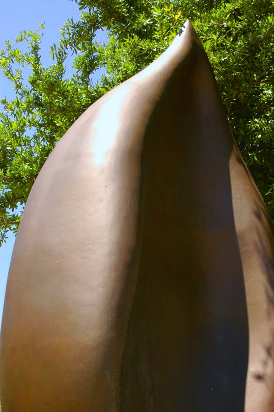 Andrew Rogers, Growing, Frisco, Texas