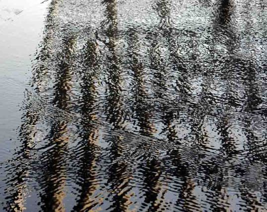 Reflecting Pool, Dallas, Texas (Click To Enlarge)