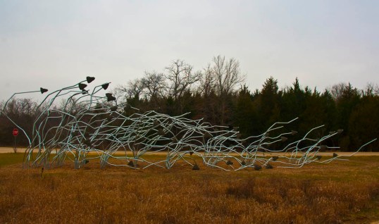 Flock in Space, Ruben Ochoa Trinity River Audubon Center, Dallas, Texas (click to enlarge)