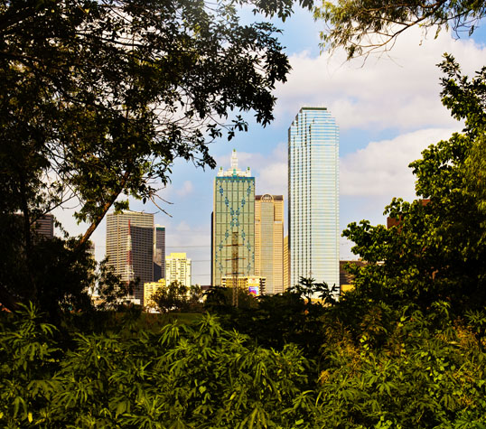Trinity River Bottoms, Dallas, Texas