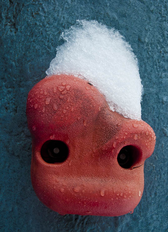 Huffhines Park, Richardson, Texas