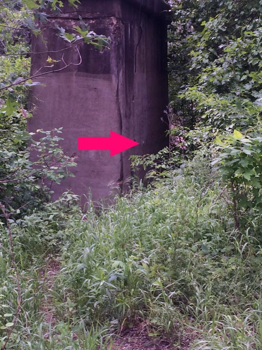 A medium view of the USB Dead Drop off the trail.