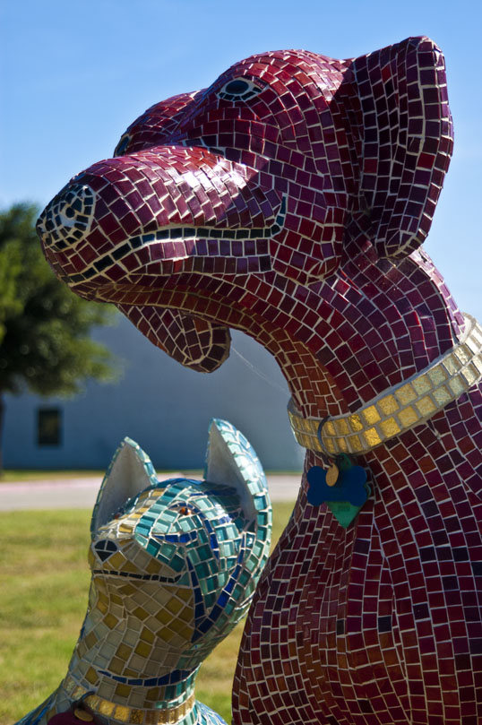 Companions Oscar Alvarado Plano Animal Shelter Plano, Texas