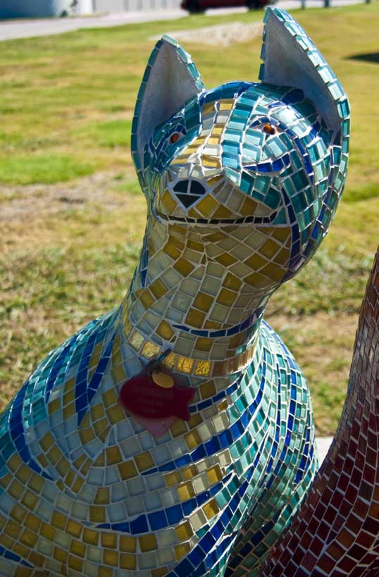 Companions Oscar Alvarado Plano Animal Shelter Plano, Texas