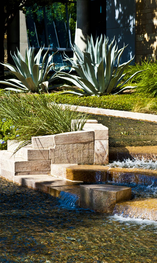 Manmade Stream and Naturemade agave plants Downtown Dallas, Texas